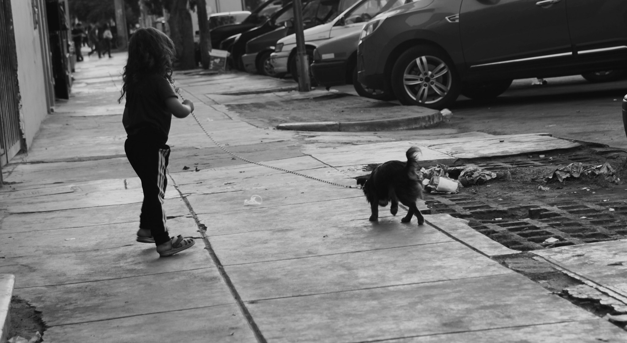 sociedad_urbana